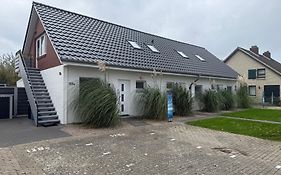 Gleich hinterm Deich 4